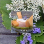 Sorbet au Melon
