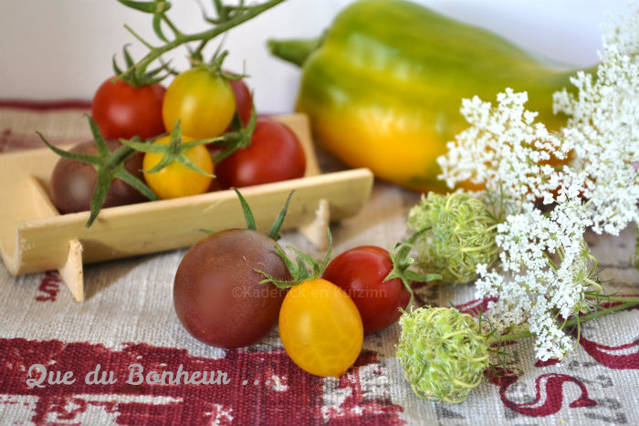 Tomates cerises bio jaunes, rouges et grenats avec du poivron et des fleurs de carotte sur Kaderick en Kuizinn© Tomates cerises bio jaunes, rouges et grenats avec du poivron et des fleurs de carotte